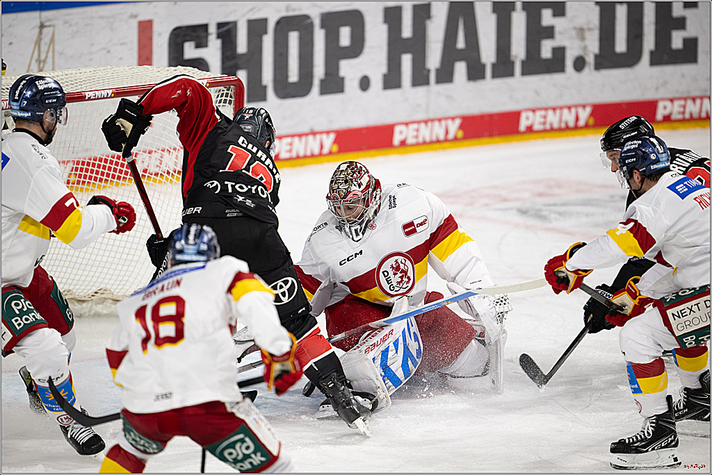 PENNY DEL 1; Kölner Haie - Düsseldorfer EG ; Köln, 16.02.2025
